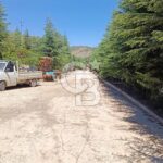 Satılık Kiracılı Fabrika Lalahan Samsun Yolu 3.500 m² - fotoğraf 5